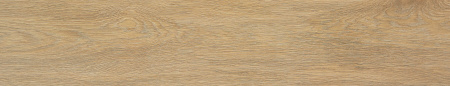 Tacora Camel Matt Rect 22.7x119.5