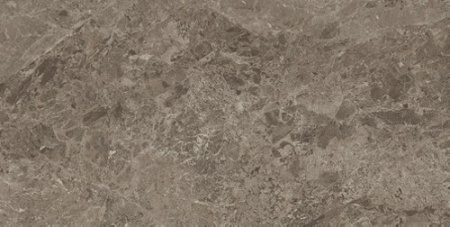 Victory Taupe 80x160