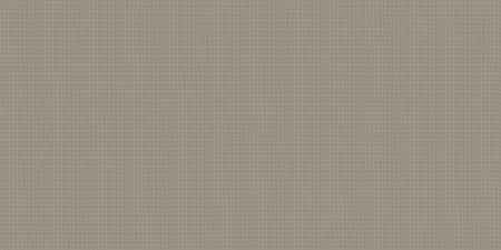 Room Grey Texture Opaco 40x80