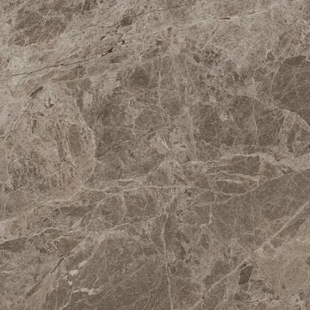 Victory Taupe 60x60